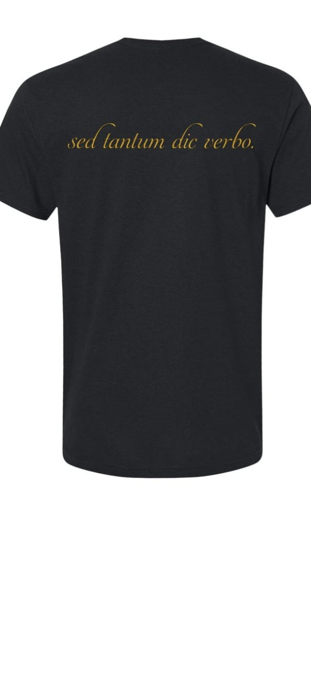 Domine Non Sum Dignus Catholic Latin Scripture Tee – Eucharistic Design